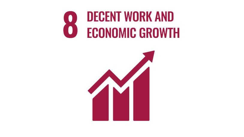 sdg 8 Decent work and economic growth