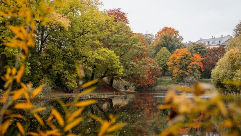 Copenhagen, autumn