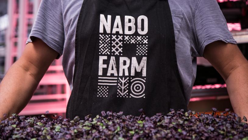 Nabo farm