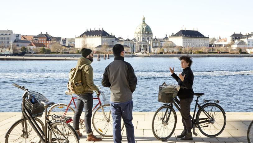 harbour guided bike tour