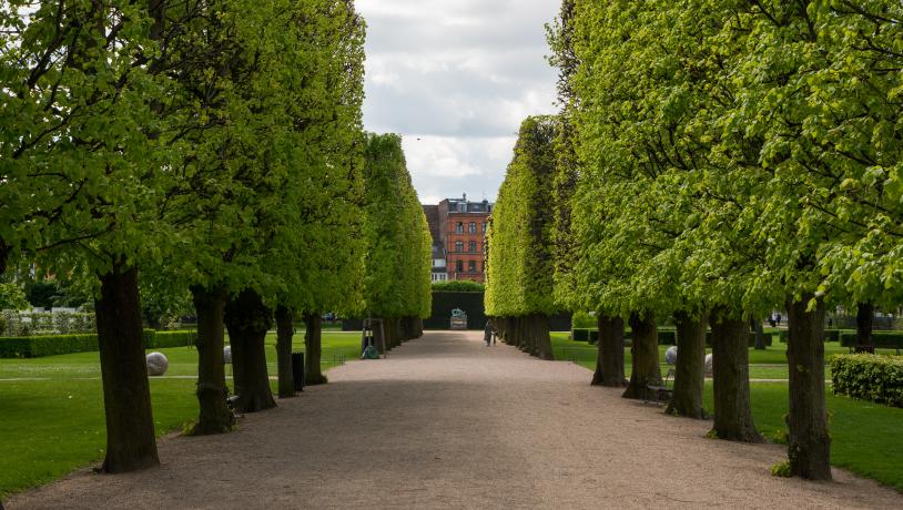 Kongens Have
