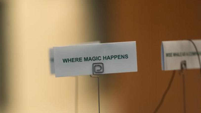 MDK_PCMA Where the magic happens