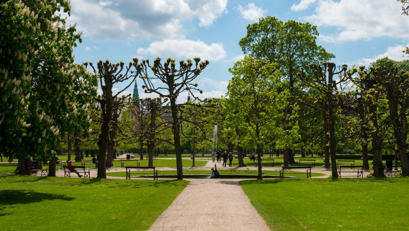 Kongens Have