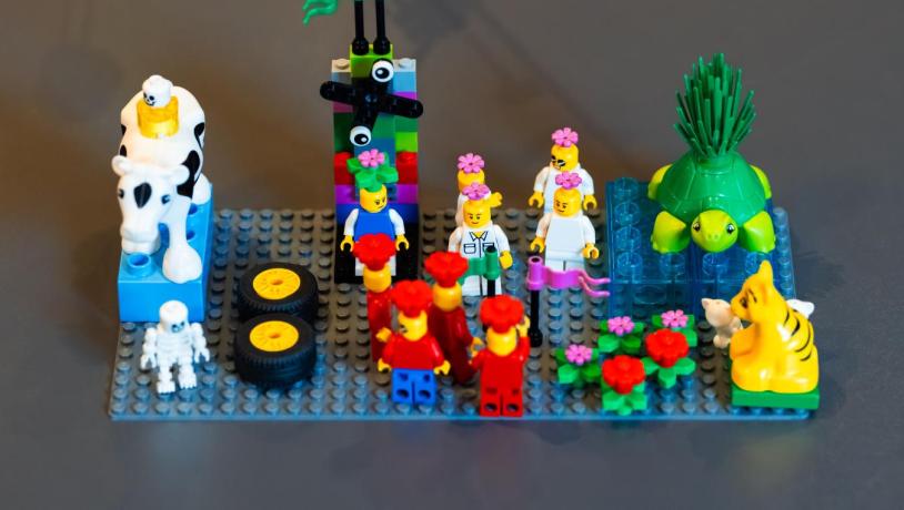 Model representing the local destination
