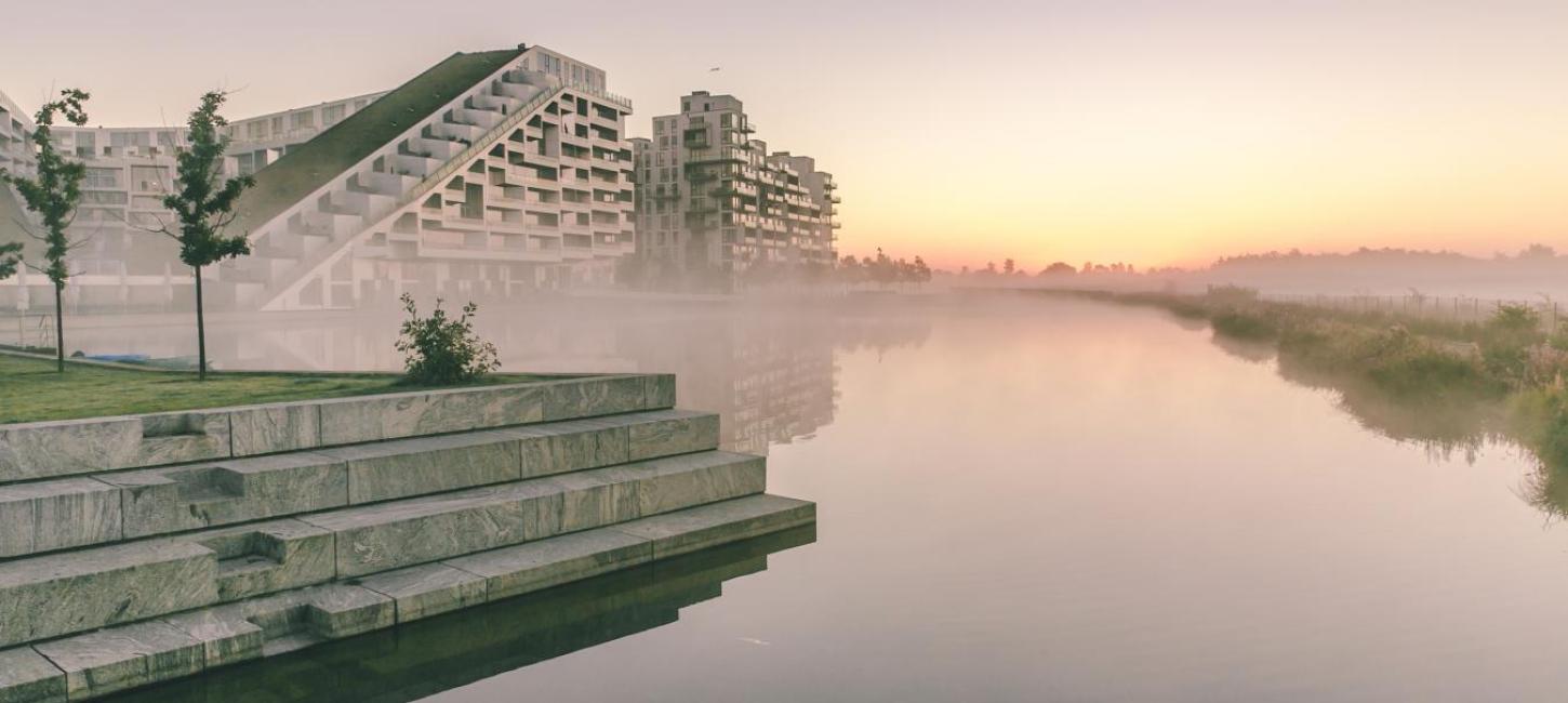 Copenhagen's hidden savannah - Kalvebod Fælled