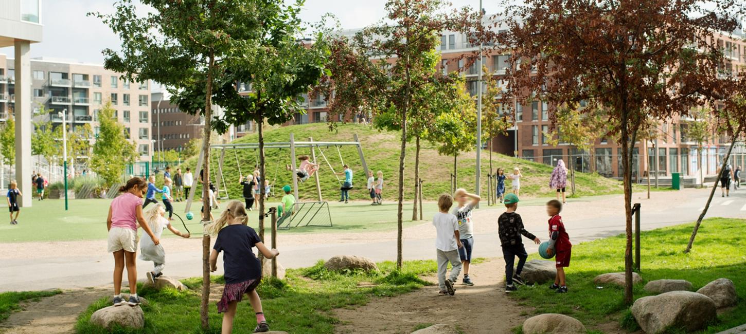 Cultigen Neighbourhood Level Solutions