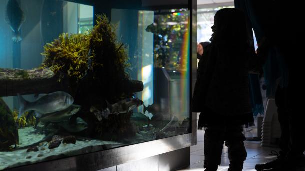 Øresund Aquarium