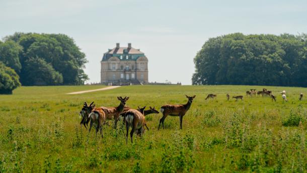 The Deer Park