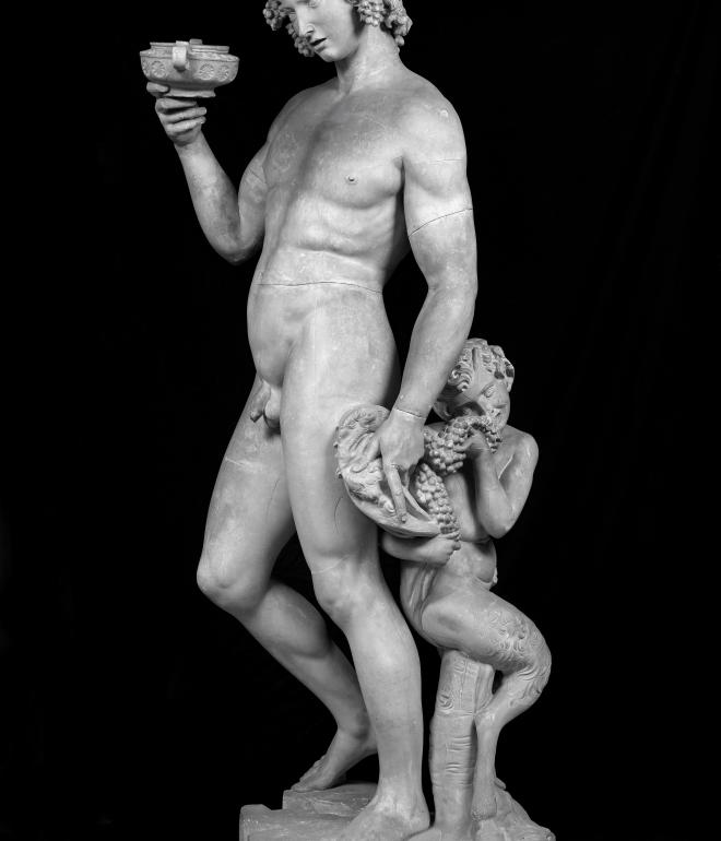 Michelangelo SMK