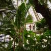 Botanisk have