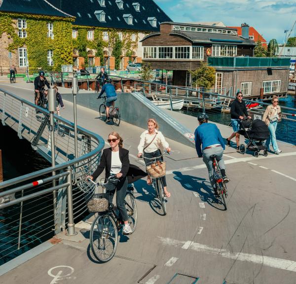 Bike bridge