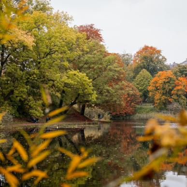 Copenhagen in autumn