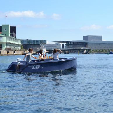 Copenhagen city views from a GoBoat