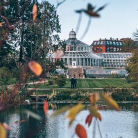 Botanical Garden in Copenhagen in autumn