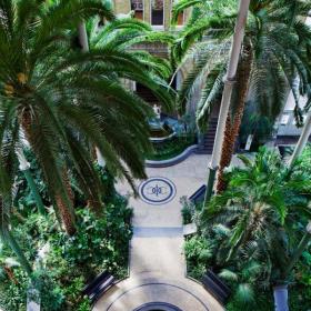 The winter garden in Glyptoteket Copenhagen