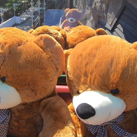Teddy bears in roller coasters