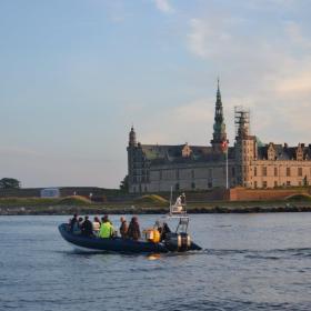 sea safare øresund aquarium elsinore