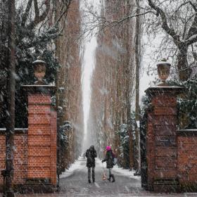 Assistens kirkegården