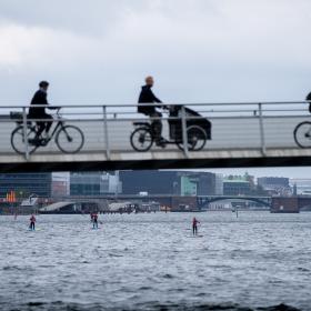 SUP boarding in Copenhagen's canals