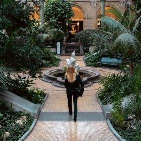 Glyptotekets Winter Garden