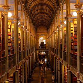 The University Library