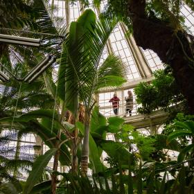 Botanisk have