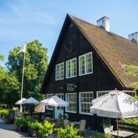 Kilden i skoven Dyrehaven Kirsten