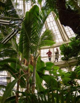 Botanisk have