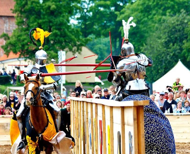 Danehof Medieval Market