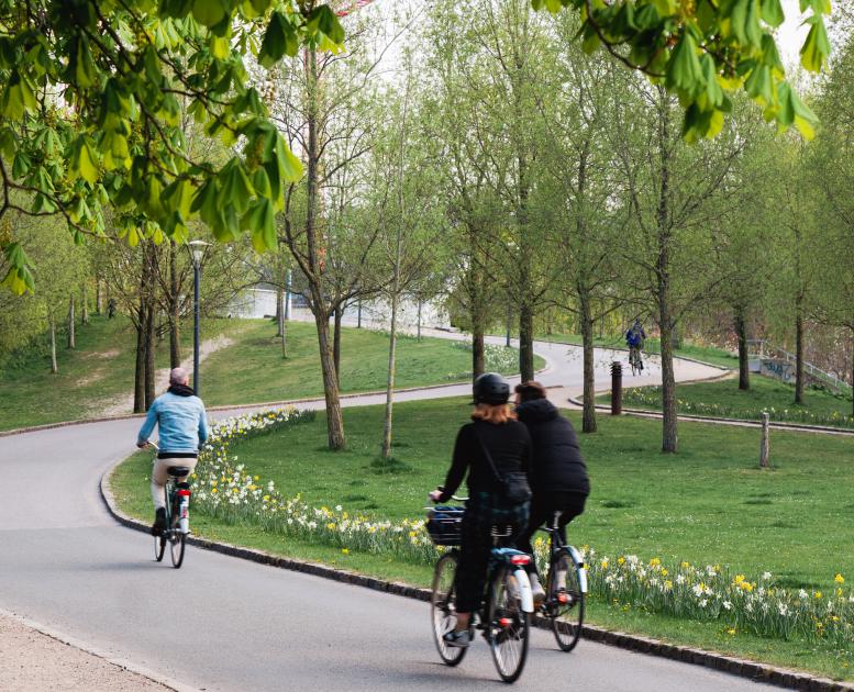 Spring den grønne sti