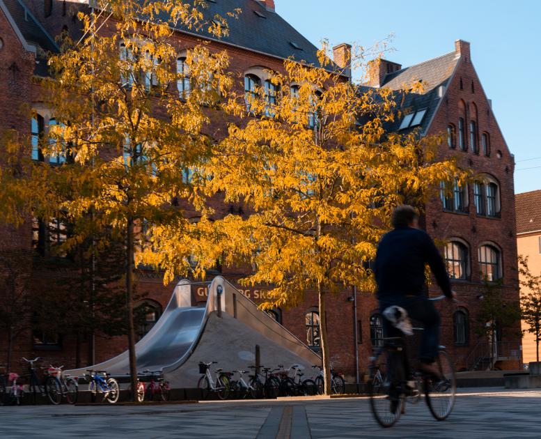 Guldbergskolen Nørrebro
