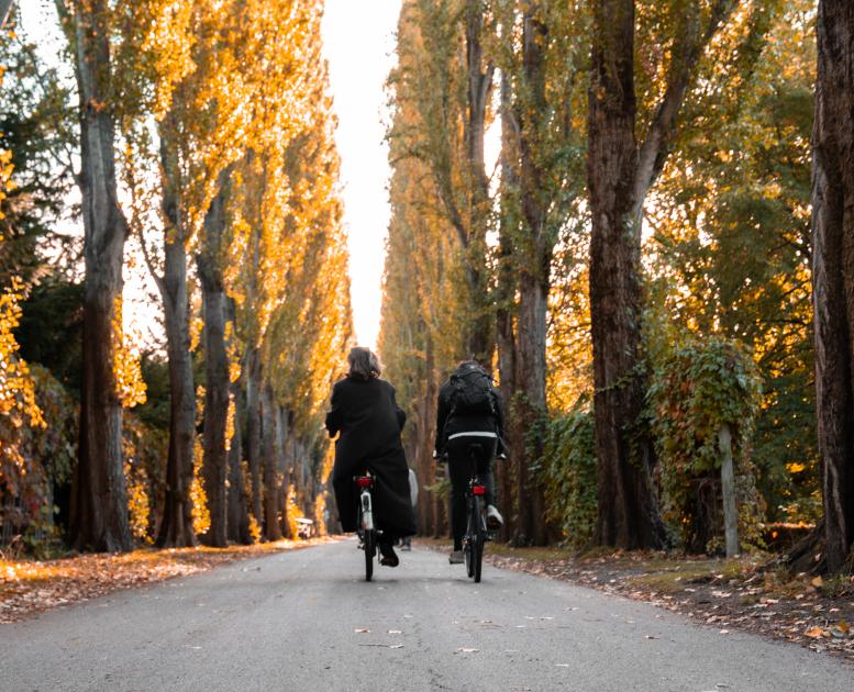Assistens Kirkegård