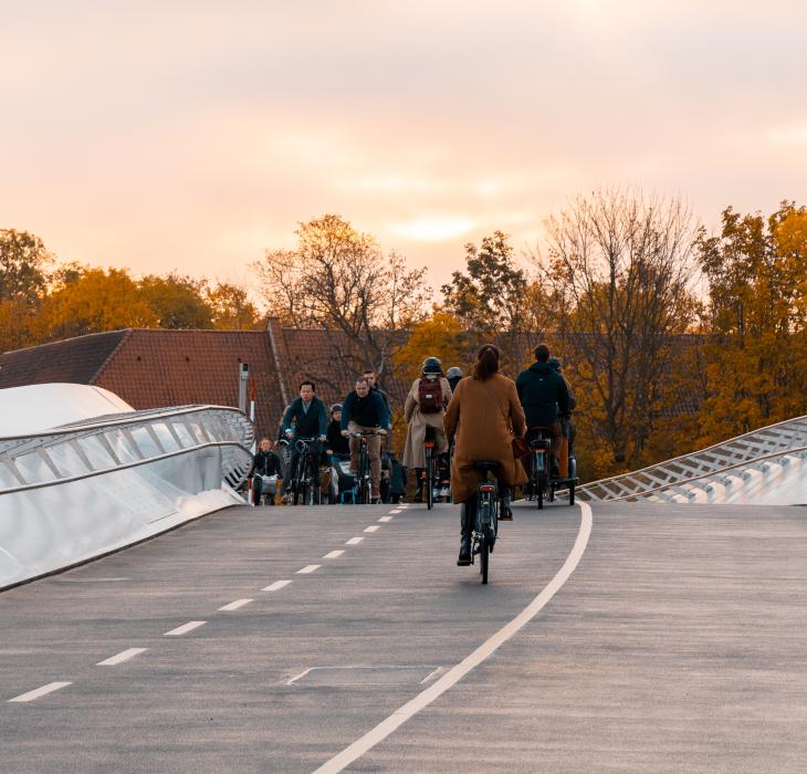 Cycling fall