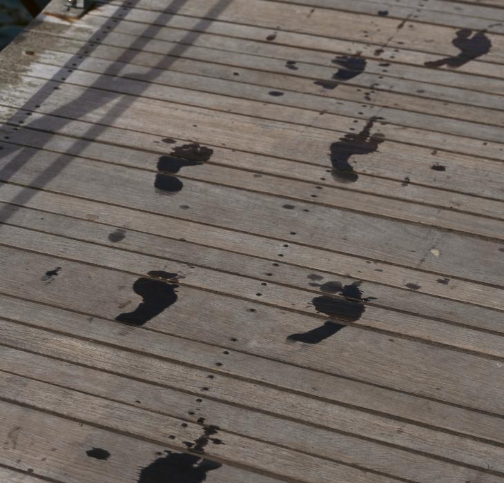 Footprint