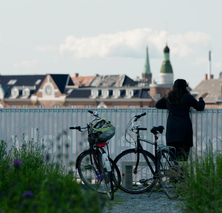View over Copenhagen